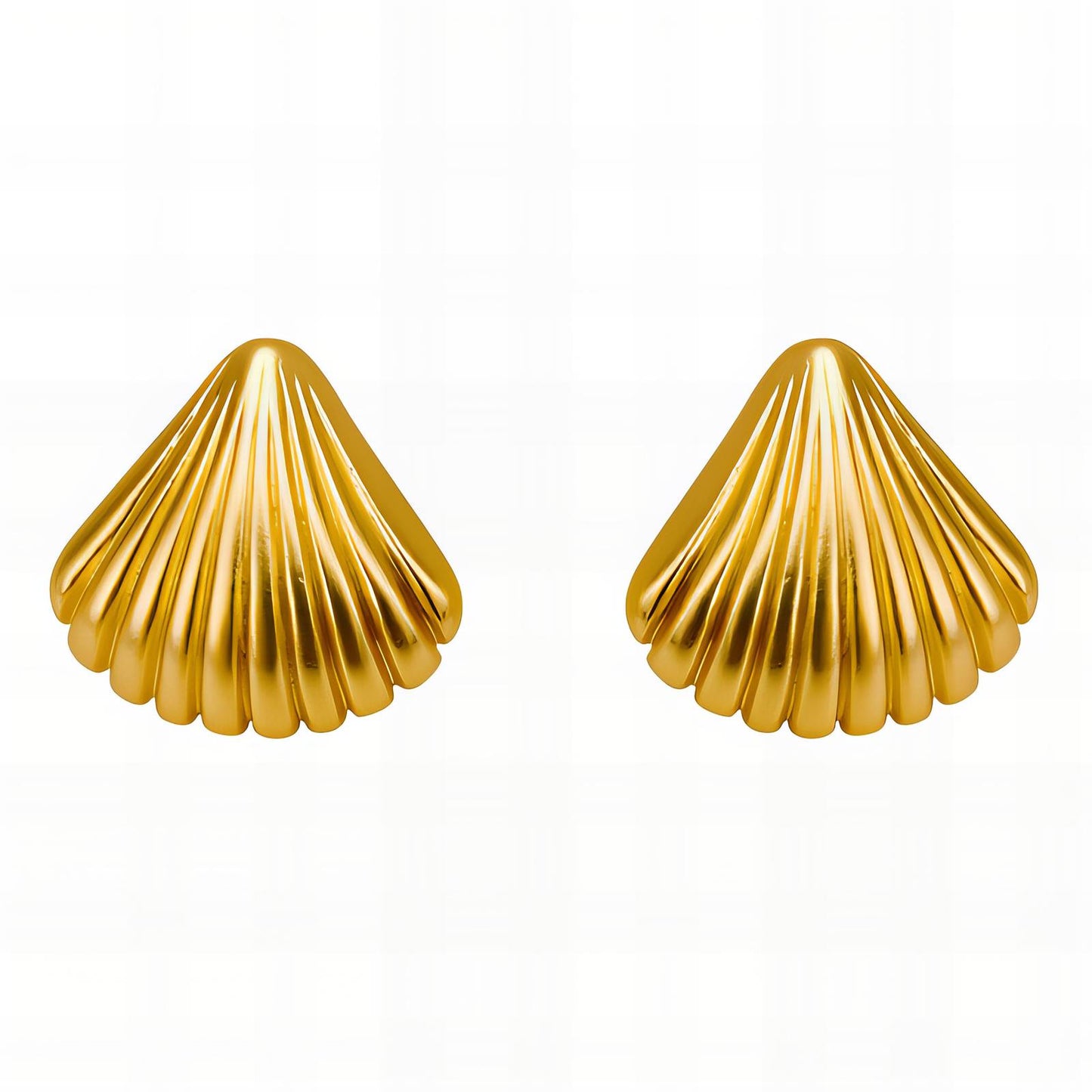 Shell earrings