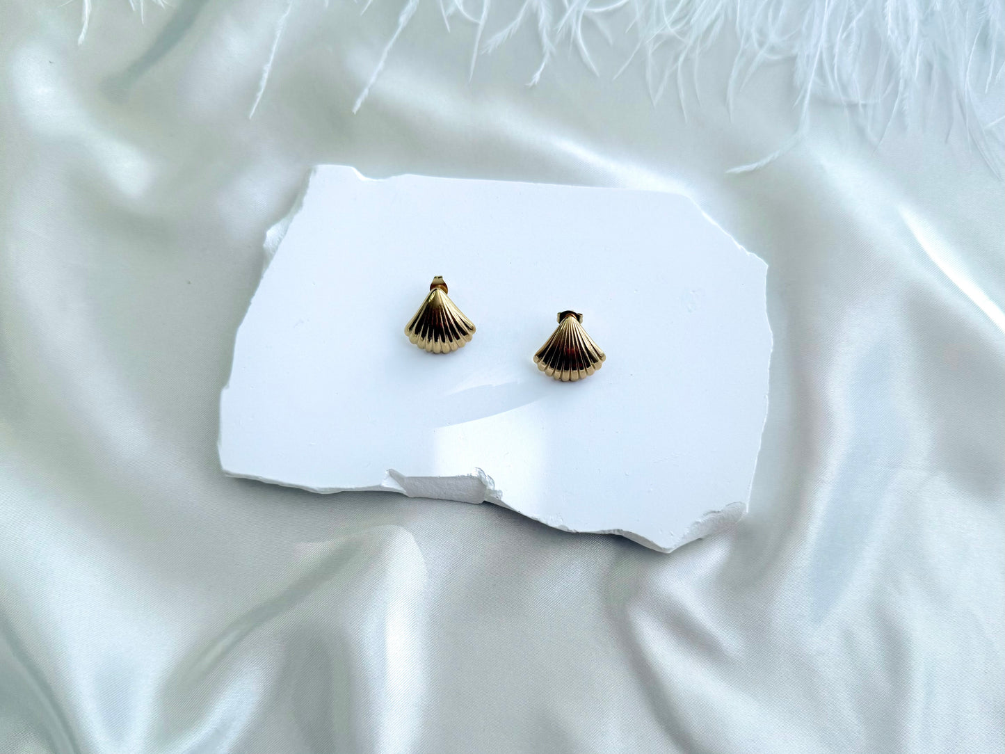 Shell earrings